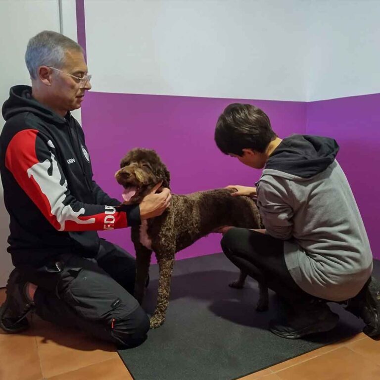 fisioterapia-canina