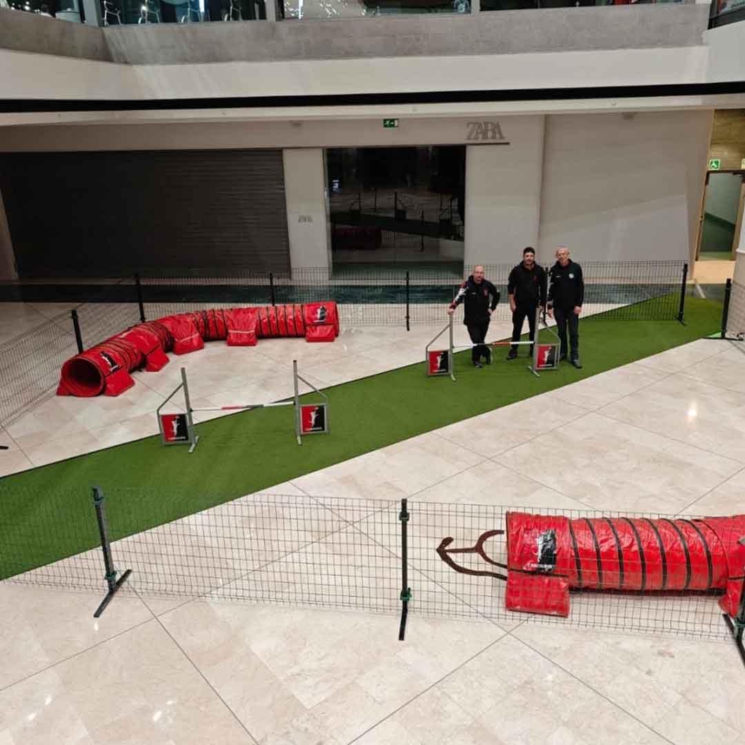 exhibiciones caninas