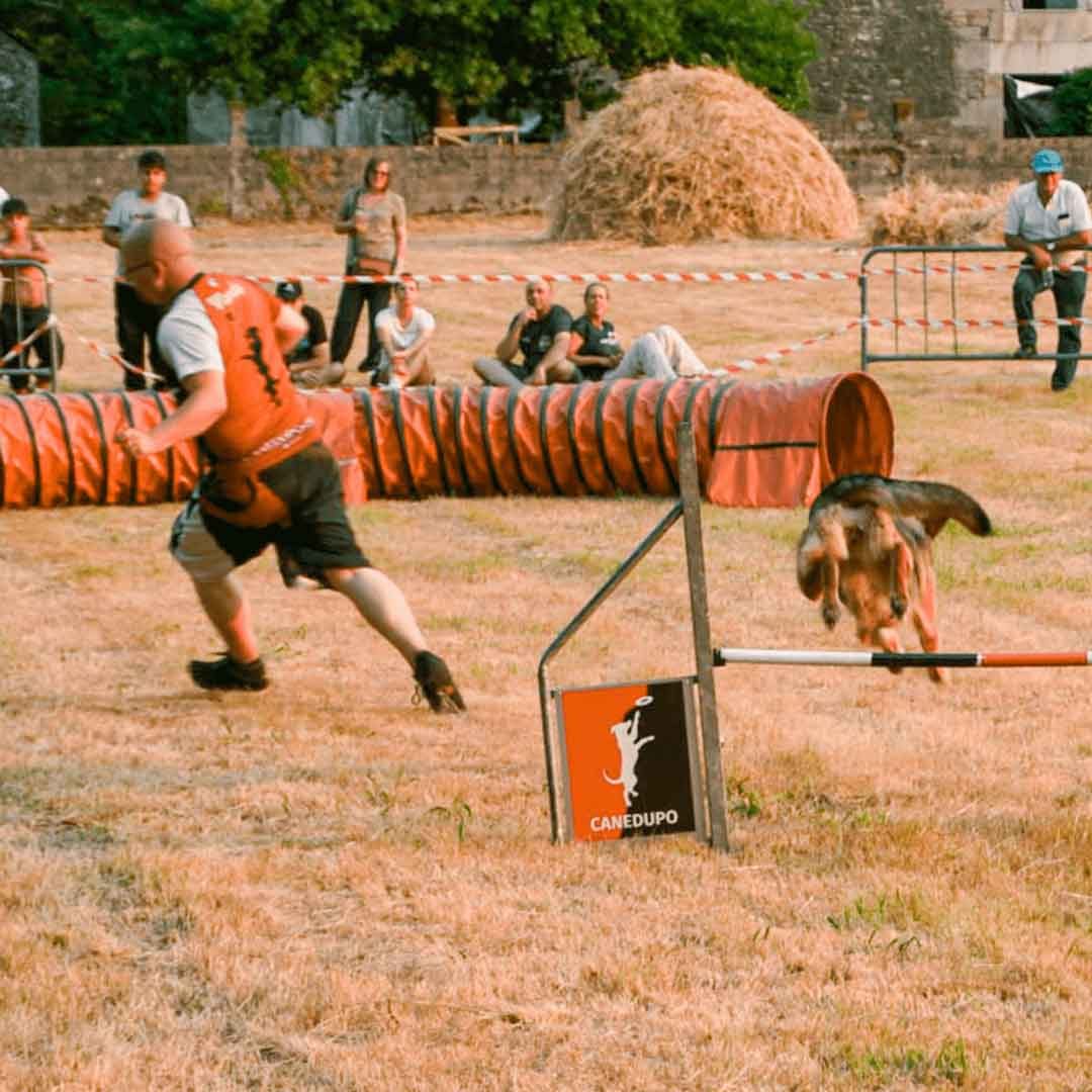 exhibiciones caninas